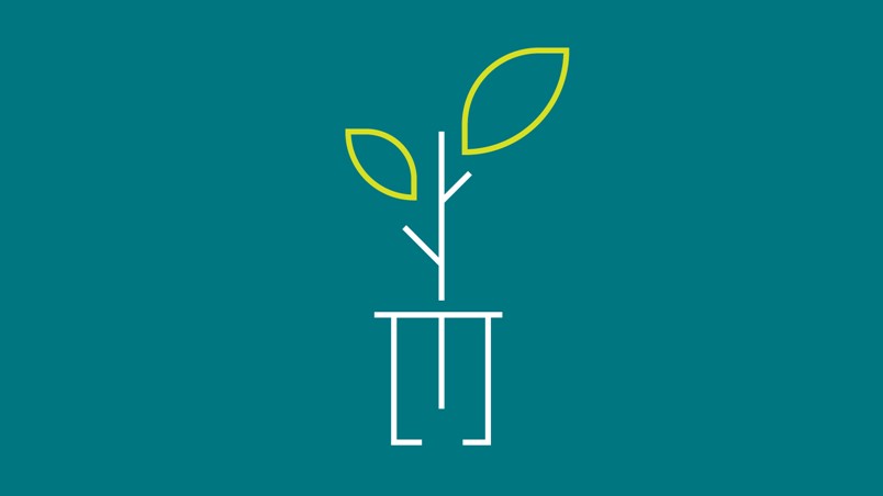 Tree planting