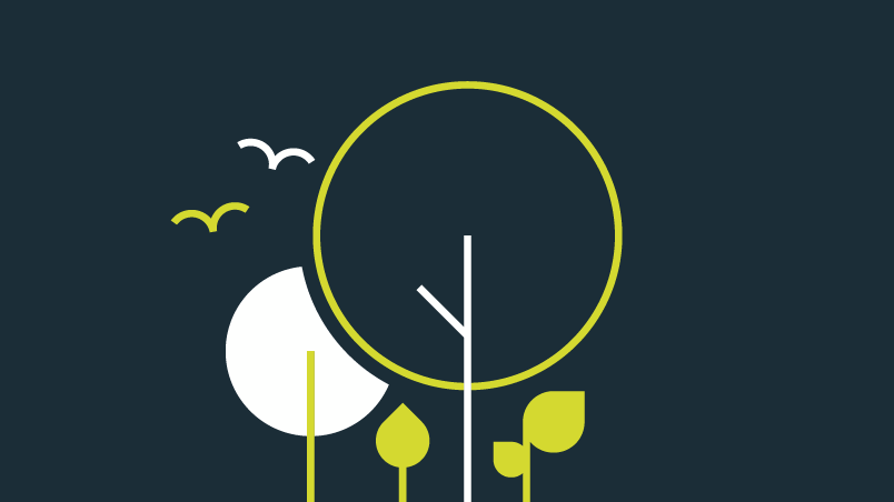 Beyond Net Zero Carbon
